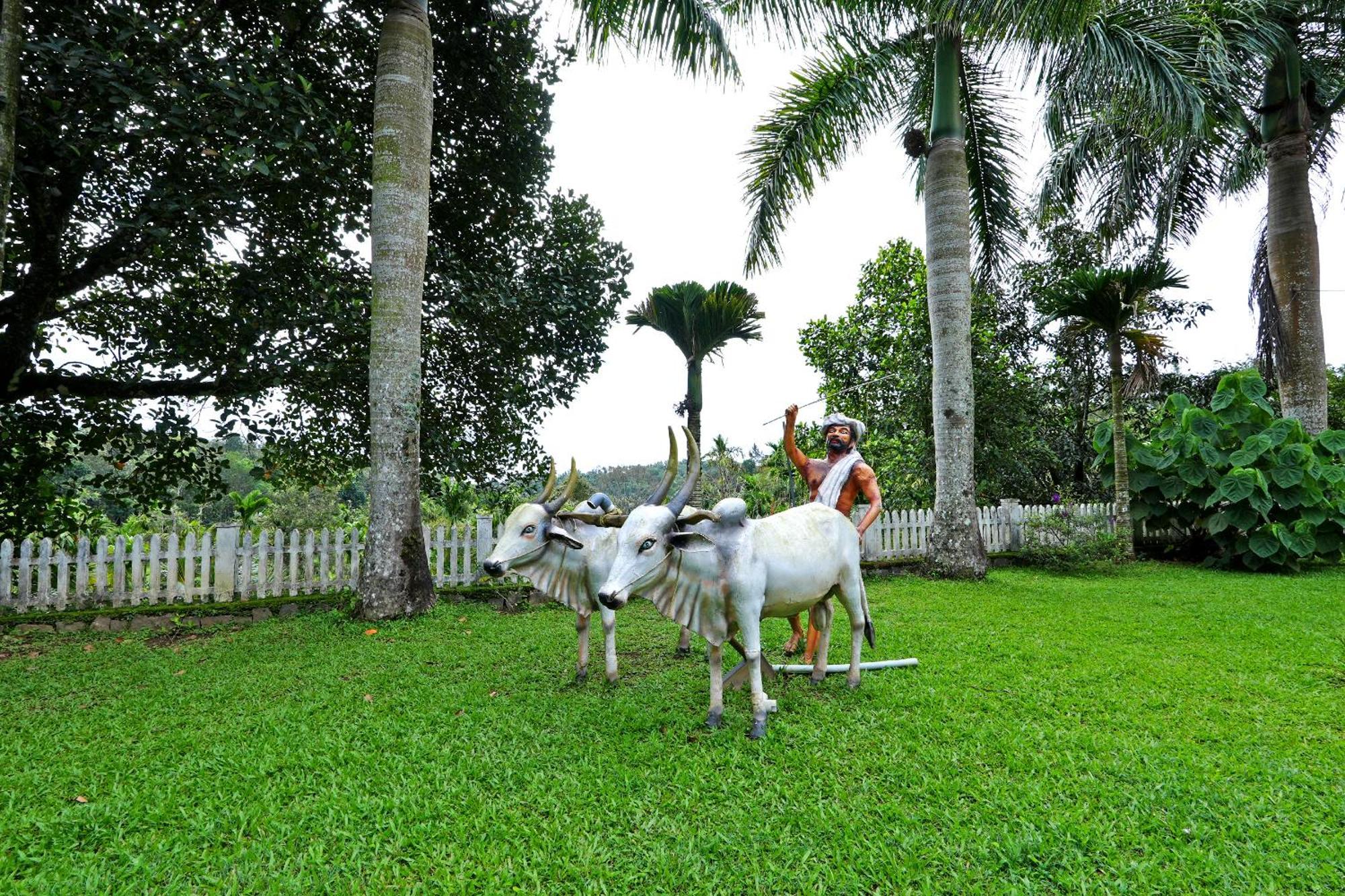 Leisure Homestay - Pool, Boating, Zipline, Home Food, Estate Chikmagalūr Eksteriør bilde