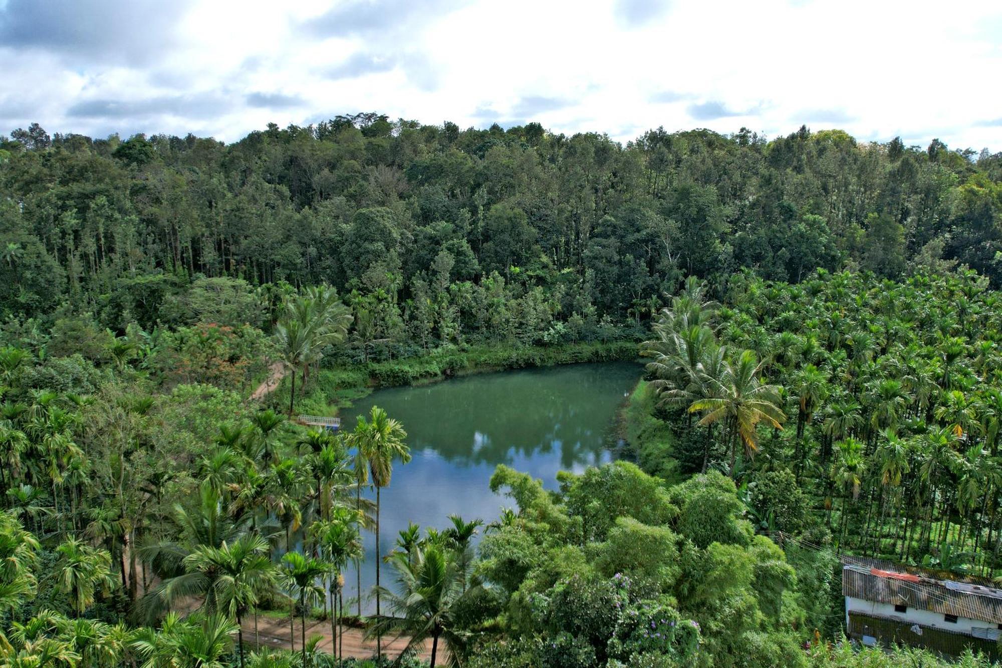 Leisure Homestay - Pool, Boating, Zipline, Home Food, Estate Chikmagalūr Eksteriør bilde