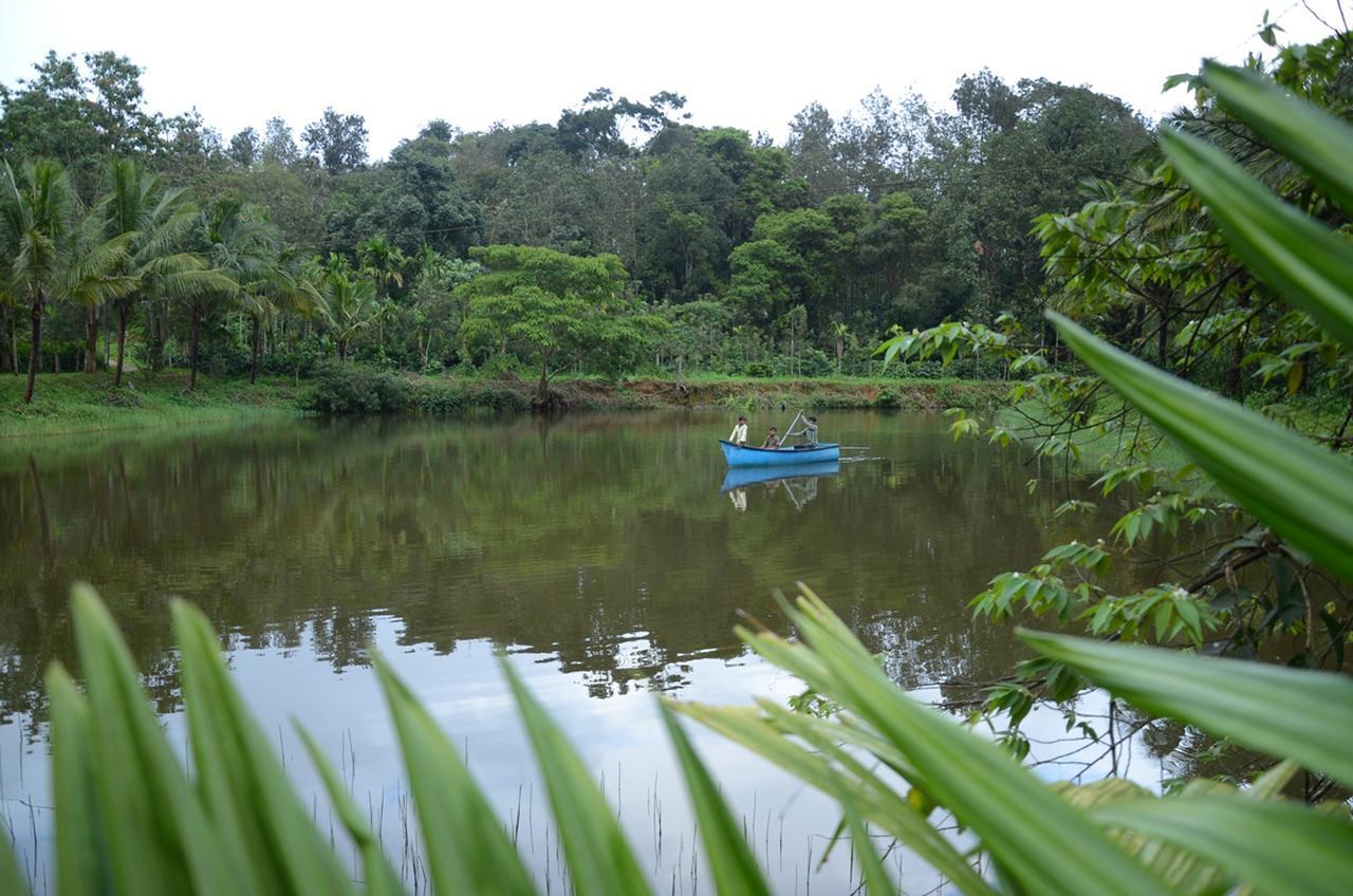 Leisure Homestay - Pool, Boating, Zipline, Home Food, Estate Chikmagalūr Eksteriør bilde